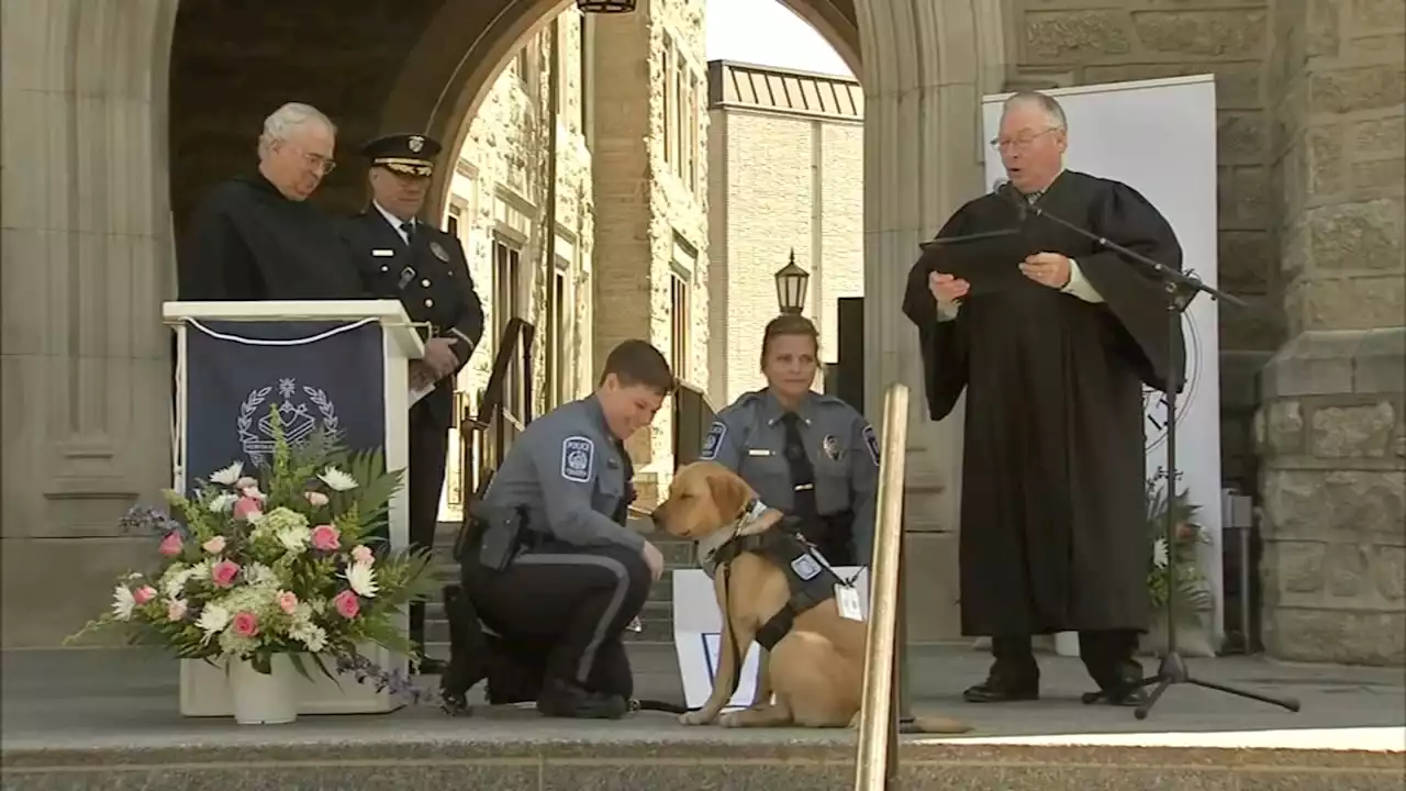 Villanova University's public safety team swears in first community canine, Taffy