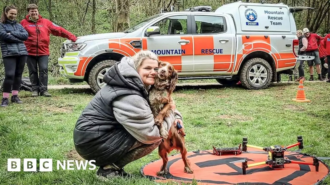 Dog rescued by drone team after fall at Thor's Cave