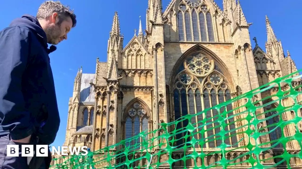 Lincoln Cathedral's Duke of Edinburgh roses stolen from grounds