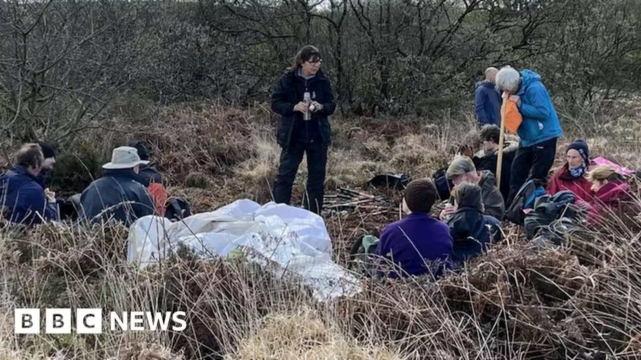 Scything used to improve wildlife habitat in Cornwall