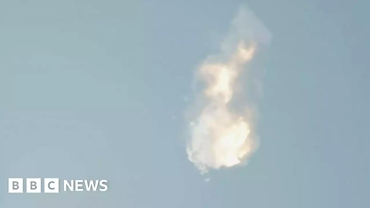 SpaceX Starship: Elon Musk's big rocket explodes on test flight