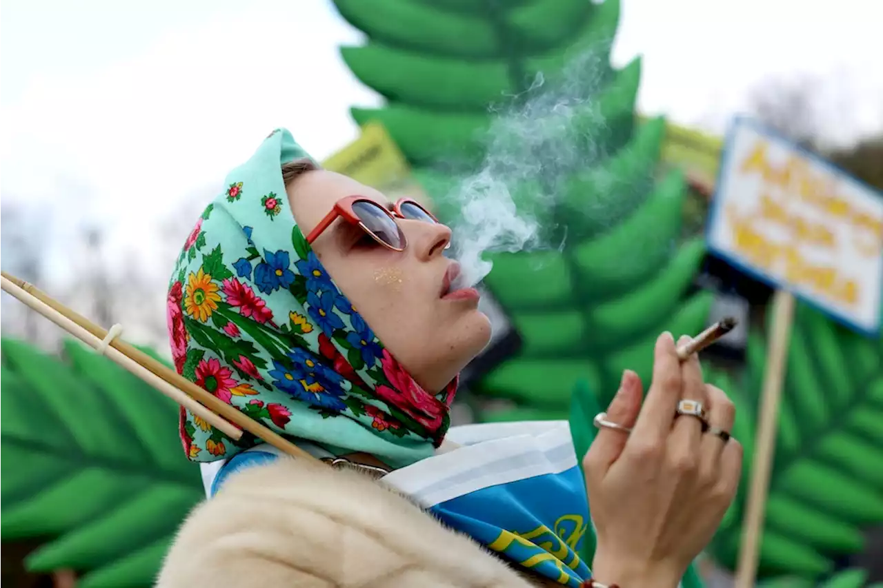 Cannabis-Qualm am Brandenburger Tor und das Rätsel um „four twenty“