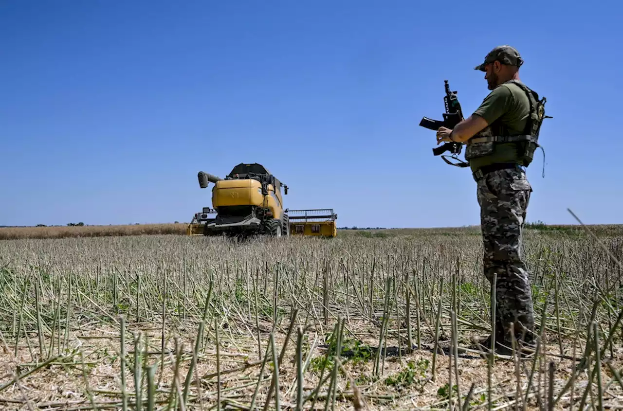 Exklusiv: Dokument zeigt dramatischen EU-Streit um ukrainisches Getreide