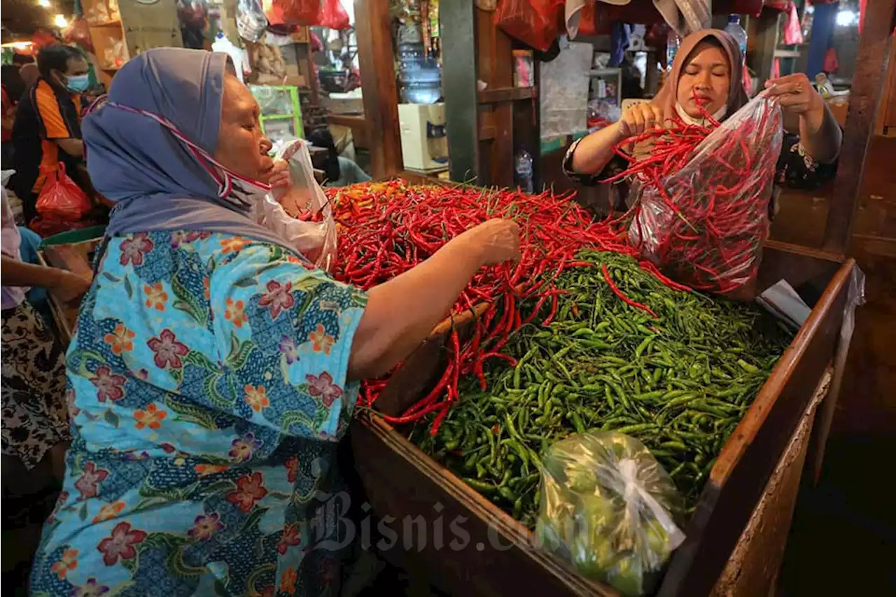 Harga Pangan Hari Ini 20 April, Cabai hingga Daging Ayam Naik Signifikan