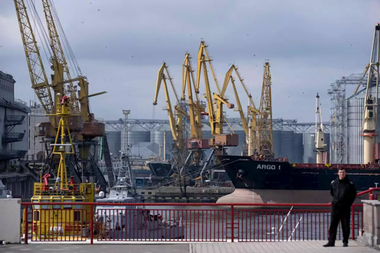 Ukraine says vital Black Sea crop exports remain disrupted | Bloomberg News