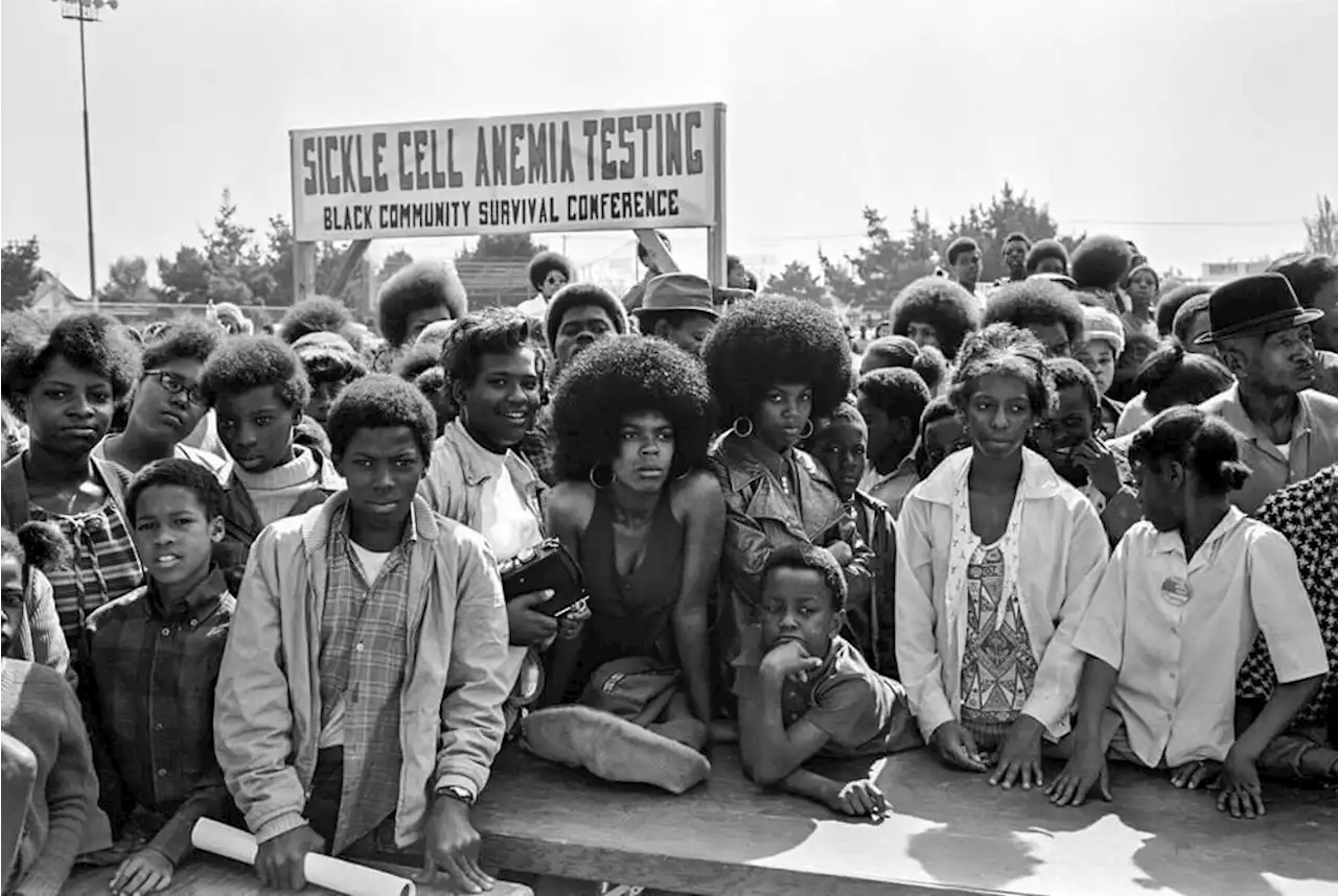 The Inspiring, Untold Stories of the Women of the Black Panther Party