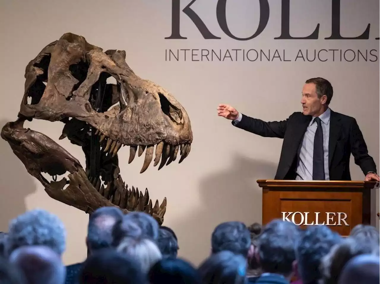 First T. rex skeleton sold at auction in Europe fetches less than expected price