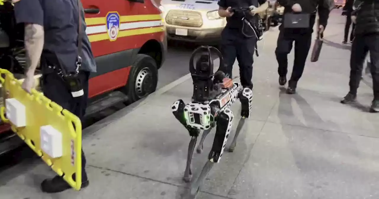 Firefighter says robot dogs and drones are here to stay, but cannot replace our Bravest