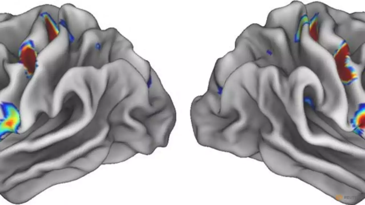 Scientists identify mind-body nexus in human brain