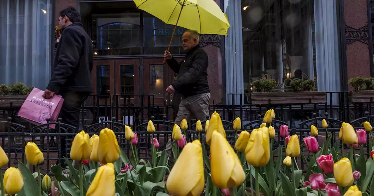 Chicago forecast: Second round of thunderstorms expected later Thursday