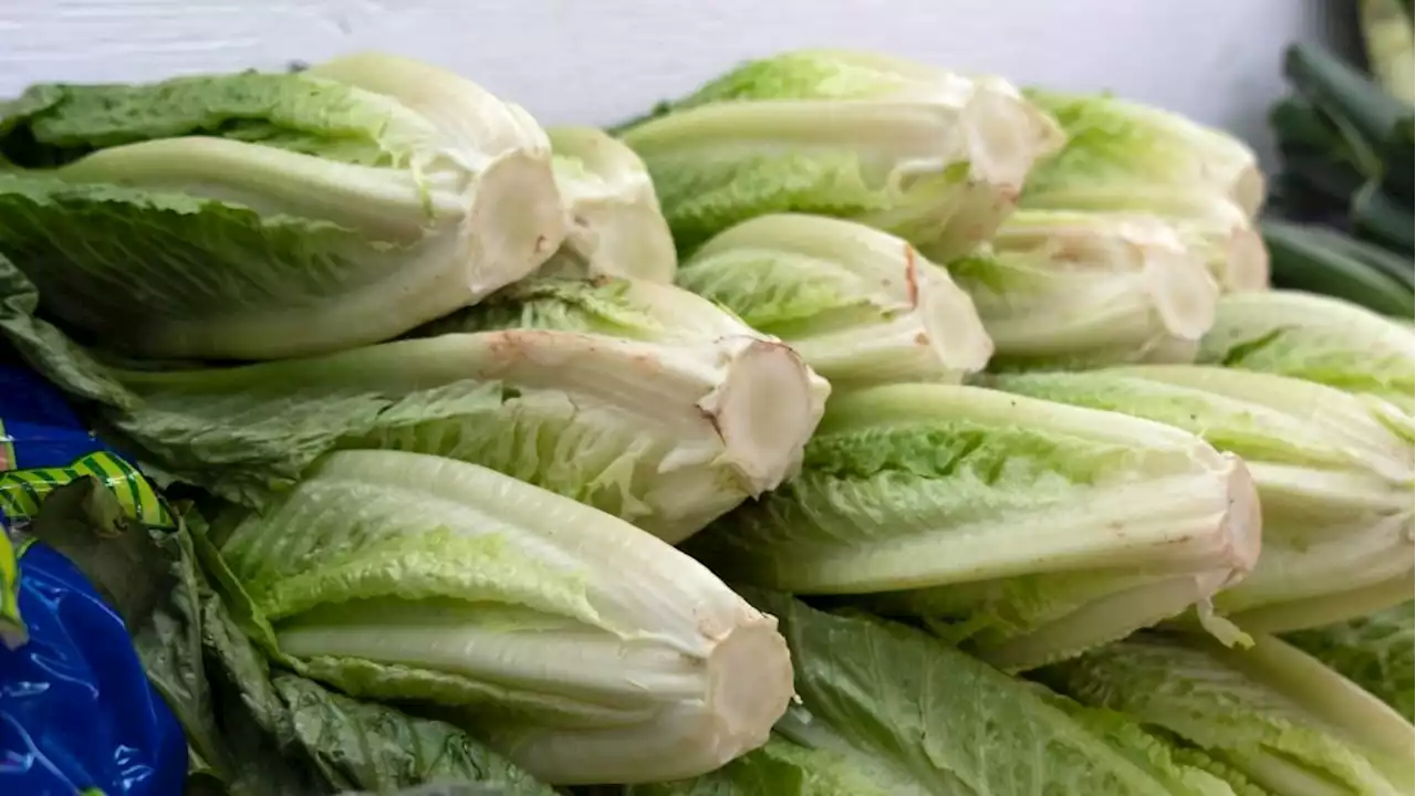 Leafy green: Here's why lettuce prices are headed higher