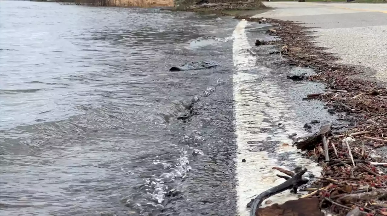 Rising water levels creeping towards houses in east Gatineau