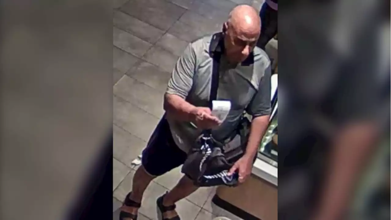 Toronto senior charged in connection with sexual assault of 13-year-old girl