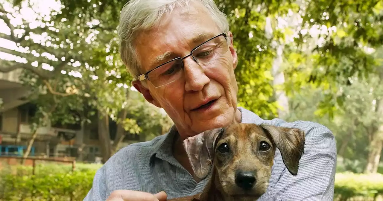 Battersea dogs will form guard of honour ahead of Paul O’Grady’s funeral