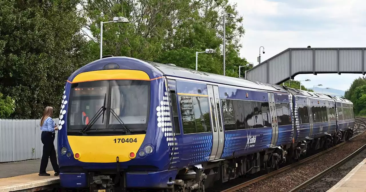 Person hit by train at Scots train station as services cancelled