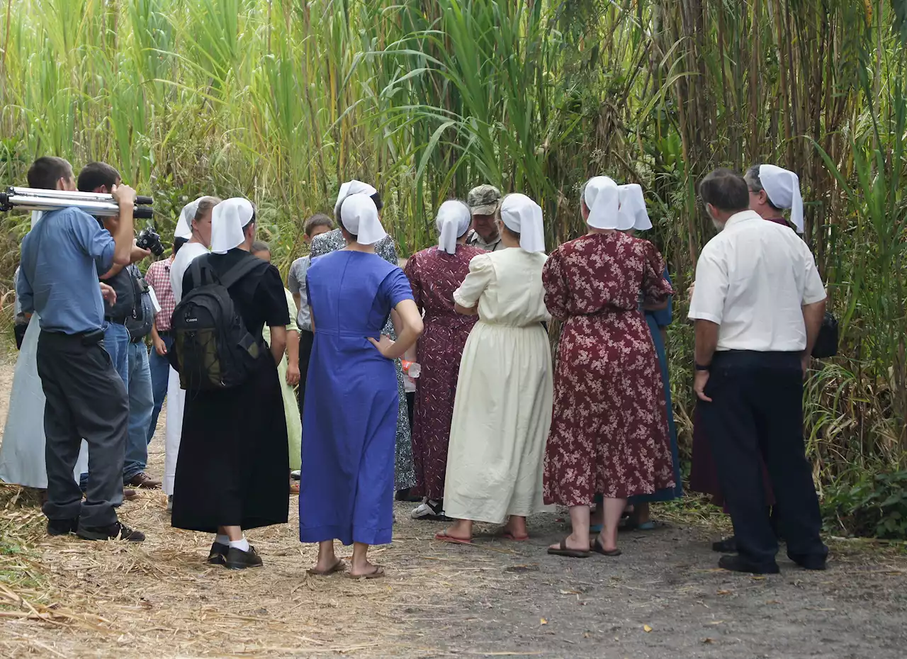 Denuncian supuesta compra irregular de predios por parte de menonitas en Meta