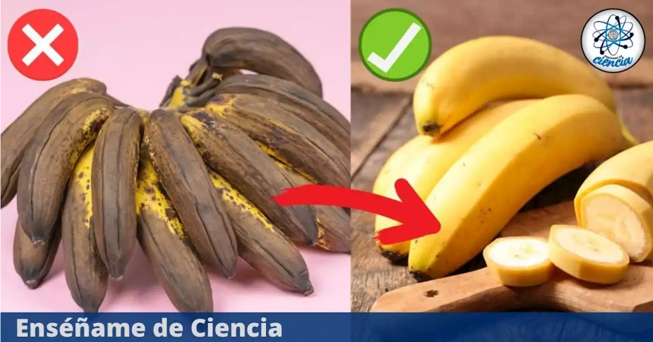 El truco definitivo para conservar los plátanos maduros por más tiempo y en buen estado