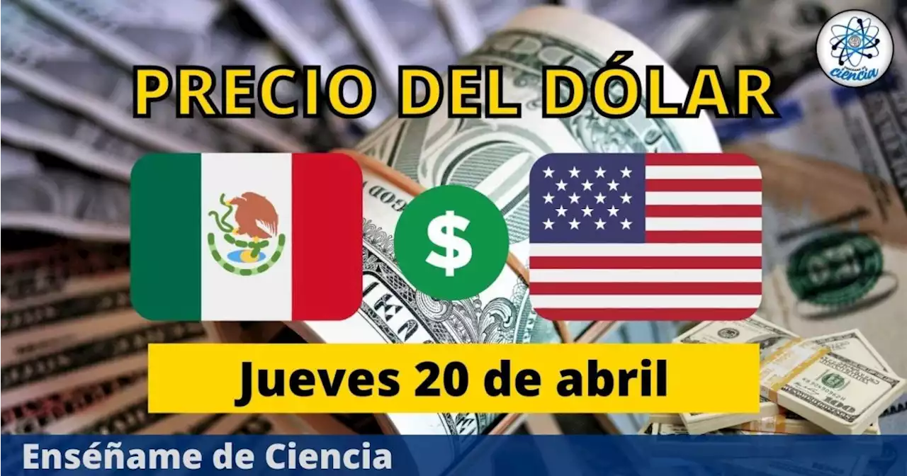 Precio del dólar hoy jueves 20 de abril, ¿cómo amaneció el tipo de cambio en México?