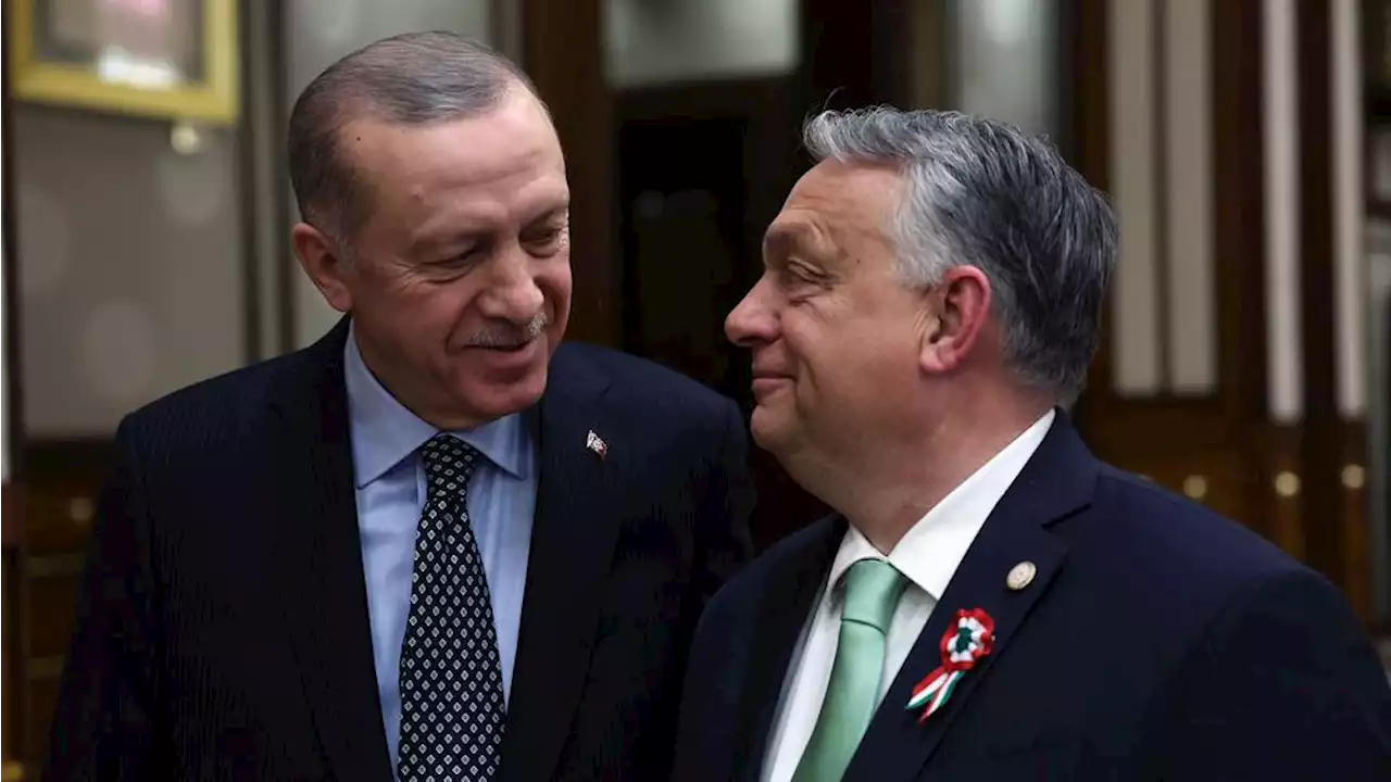 Kampanj mot Sverige i Orbáns propaganda