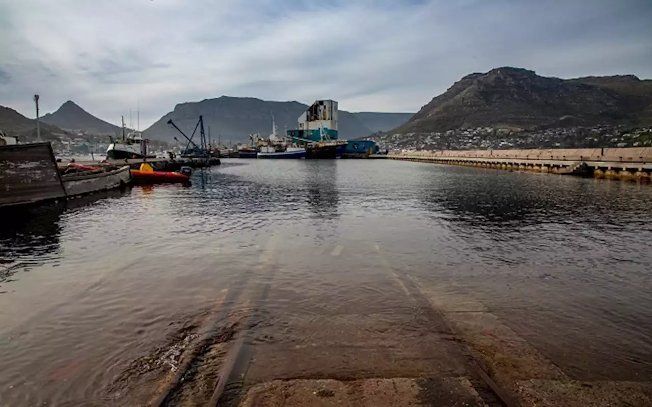 Public Works Dept must develop plan to resolve Hout Bay Harbour issues: MPs