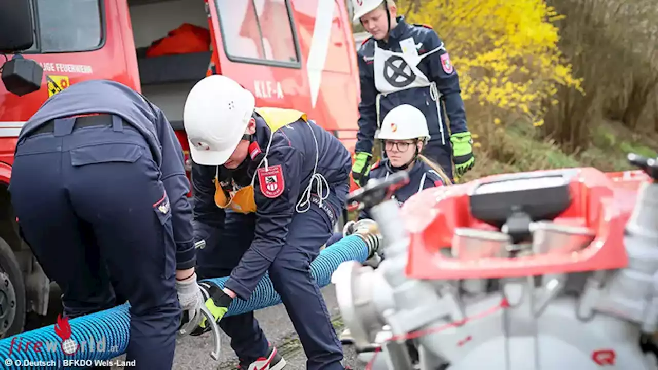 Oö: Feuerwehrjugendleistungsabzeichen Gold 2023 im Bezirk Wels Land