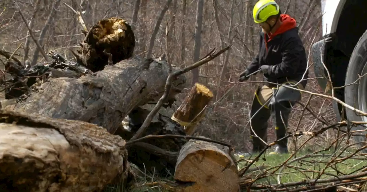 Everyone chips in to remove debris to prevent Salt Lake City flooding