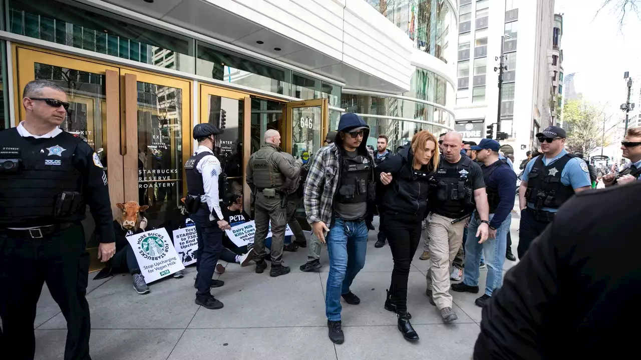 PETA: Some protesters arrested outside Chicago Starbucks