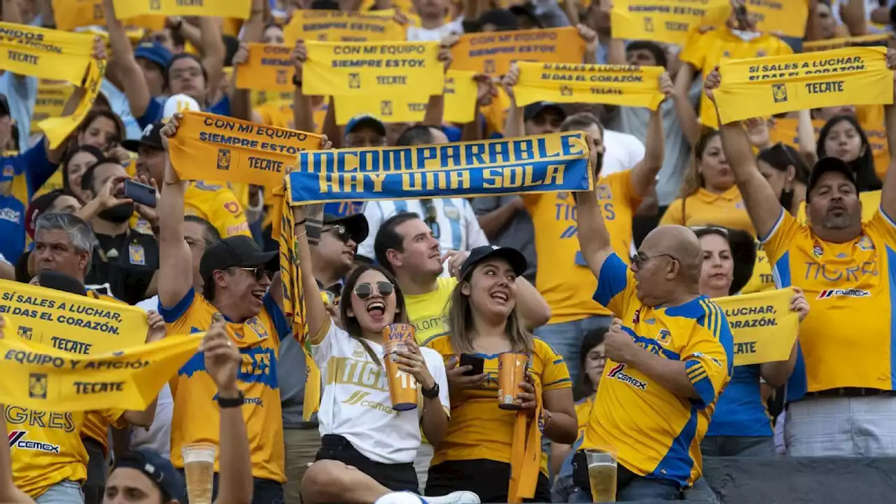 Fuentes: Tigres ya tiene 95 por ciento de registro de Fan ID