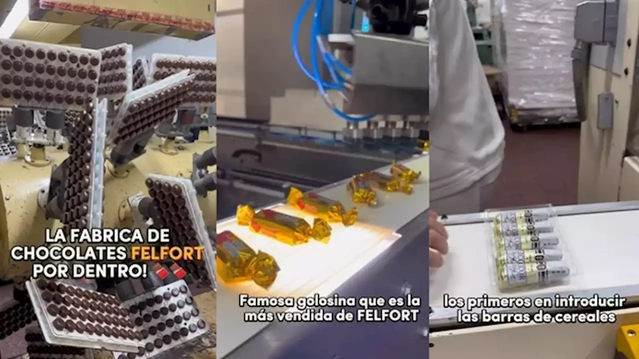 Así trabaja Felfort, la fábrica de chocolate más famosa del país