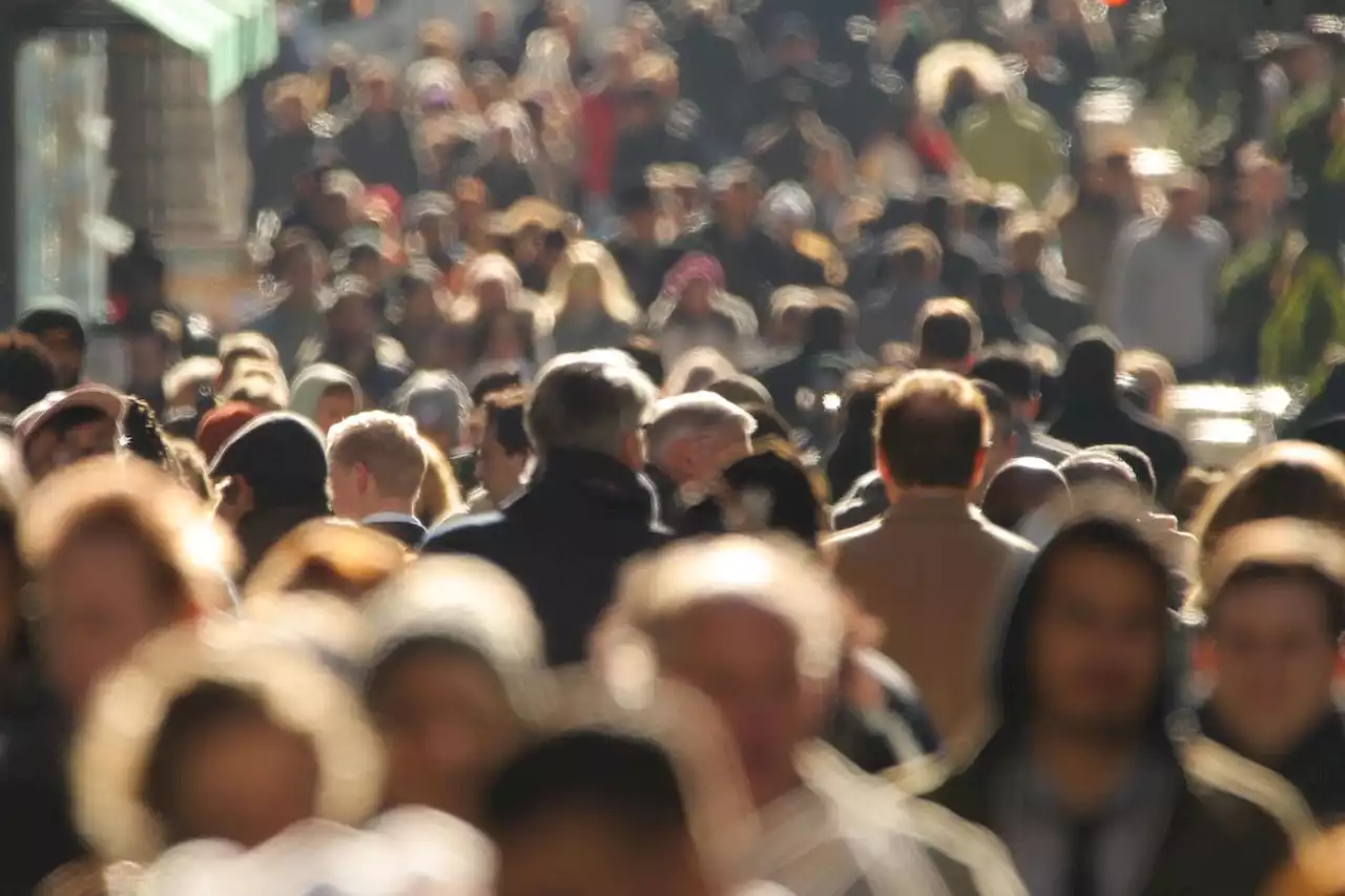 La part des immigrés dans la croissance de la population française est de 38 % depuis 2006