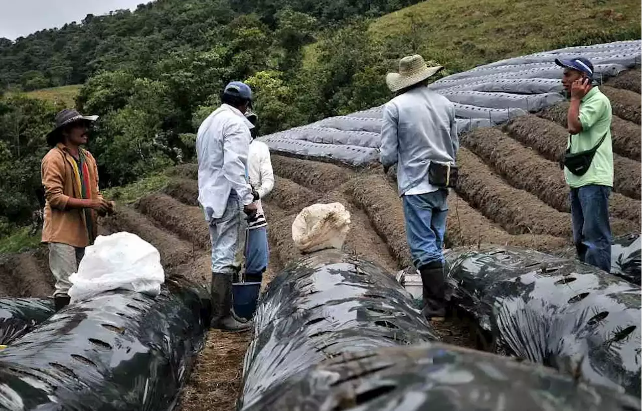 Corte Suprema reitera su oposición a la Corte Agraria, 'no es necesaria'