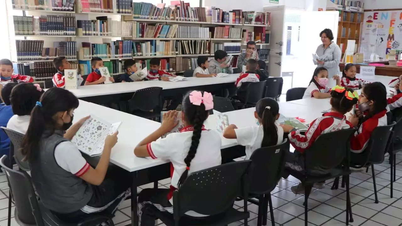 Celebrarán el Día mundial del libro con la temática del activismo