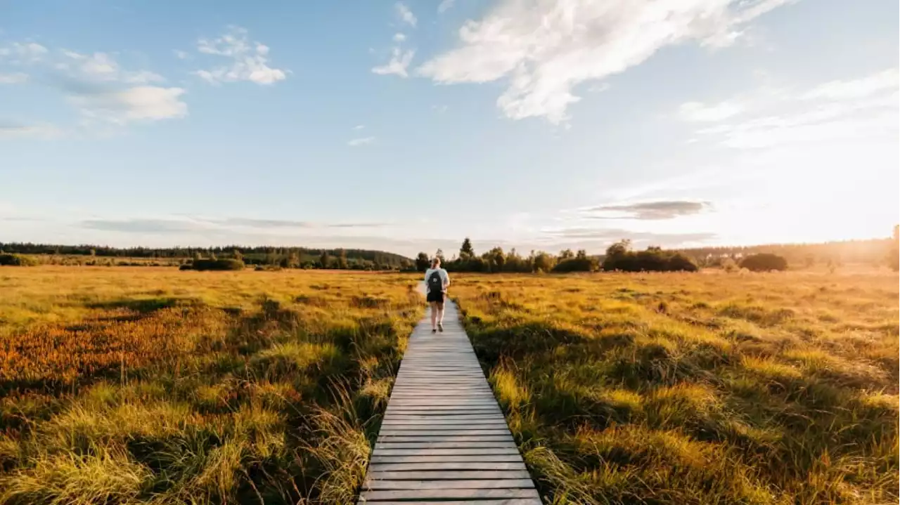 Jeu-concours : gagnez une escapade nature à la découverte de la Wallonie