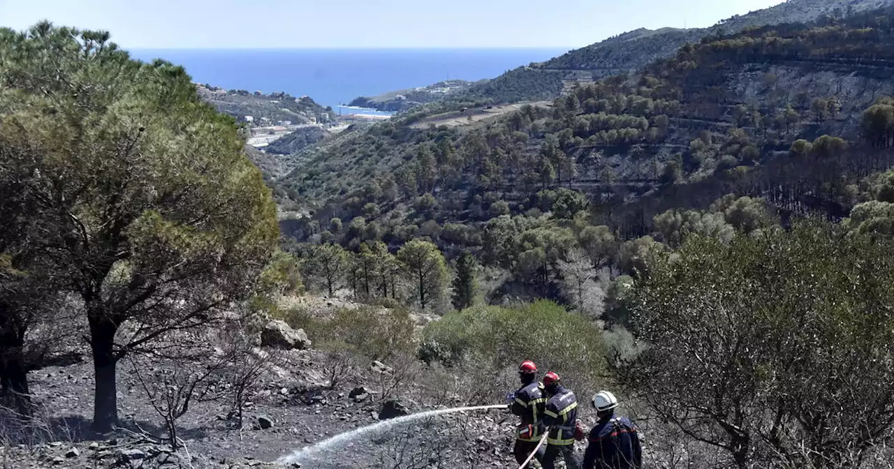 Pyrénées-Orientales : l’incendie est déclaré éteint