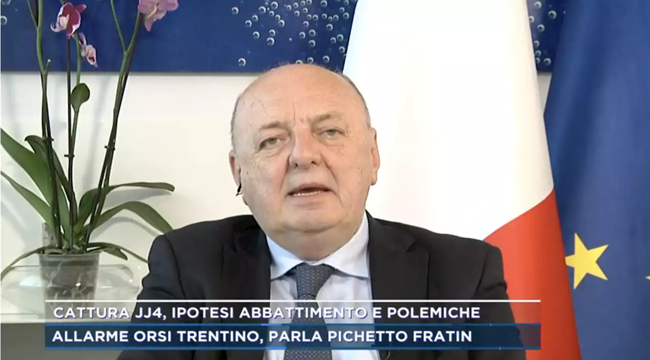 Catturata l'orsa Jj4, Pichetto Fratin: 'Ispra favorevole all'abbattimento'