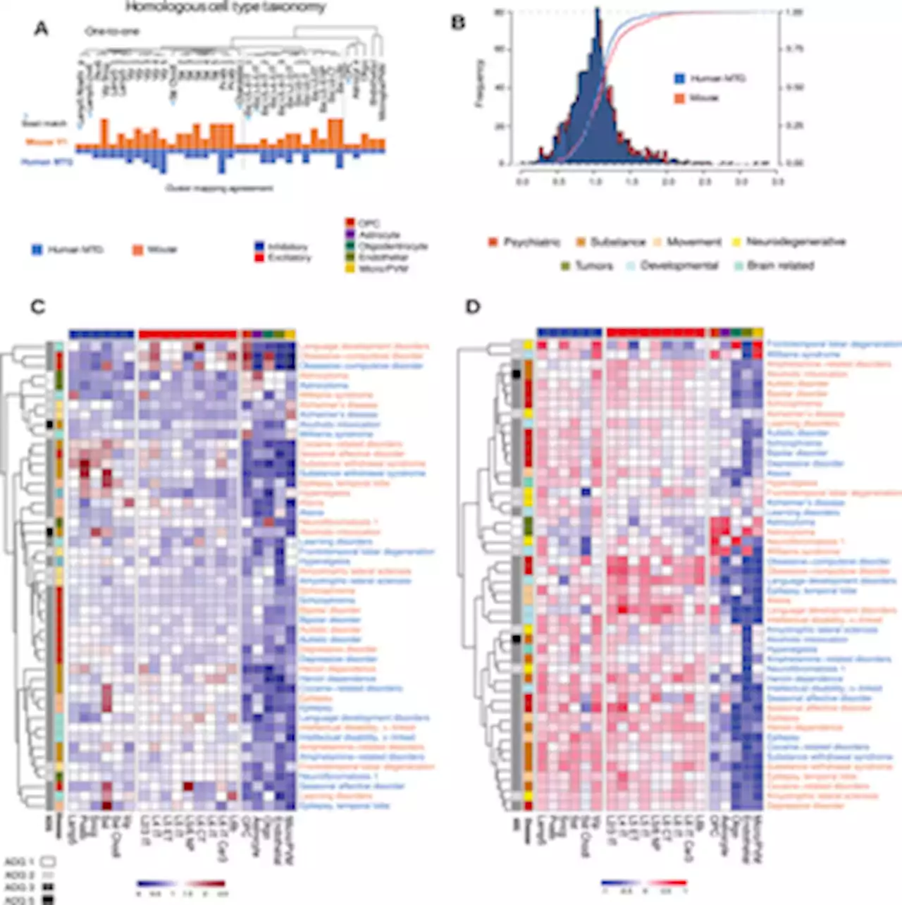 A comparison of anatomic and cellular transcriptome structures across 40 human brain diseases