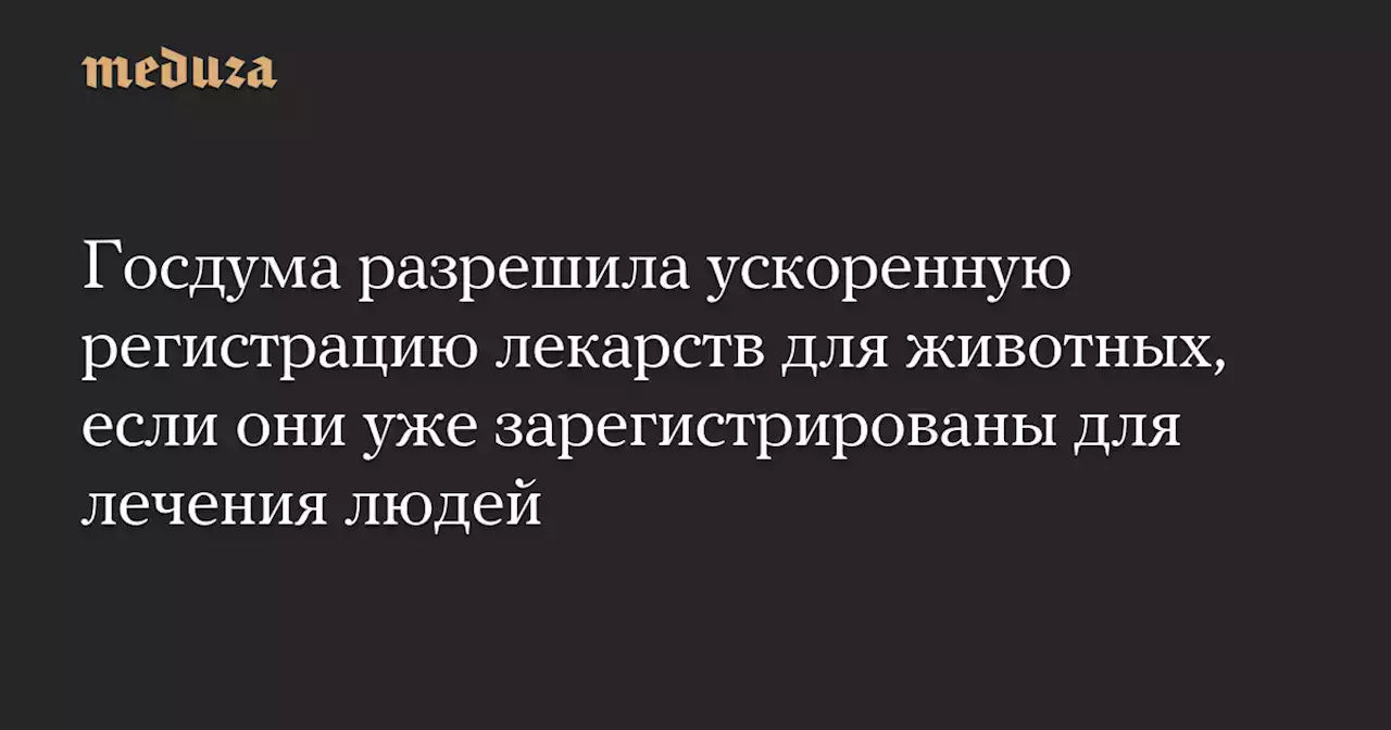 Госдума разрешила ускоренную регистрацию лекарств для животных, если они уже зарегистрированы для лечения людей — Meduza