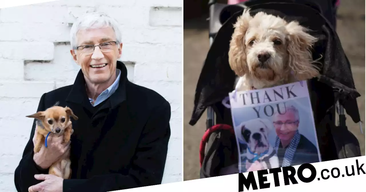 Mourners remember ‘genuine’ Paul O’Grady as dogs line street ahead of funeral