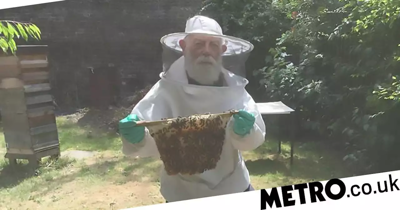 Pensioner loses 500,000 bees after vandals destroy his beehives