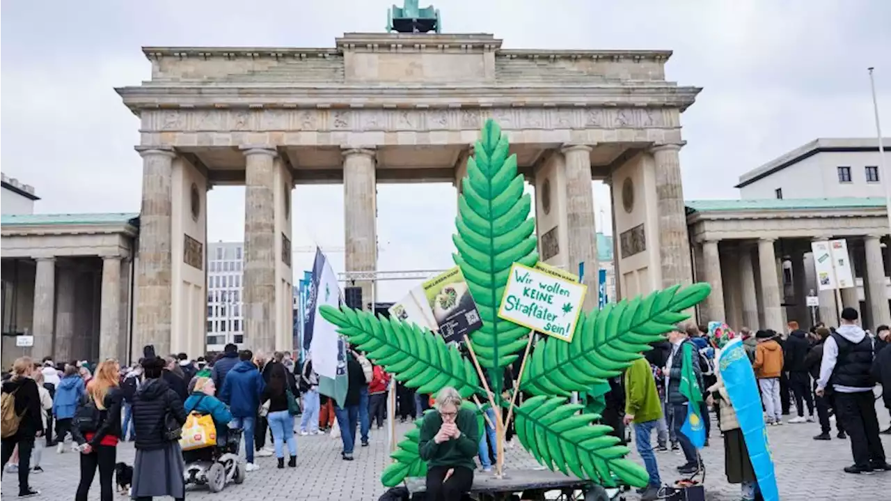 Brandenburger Tor: Demonstration für Cannabis-Legalisierung