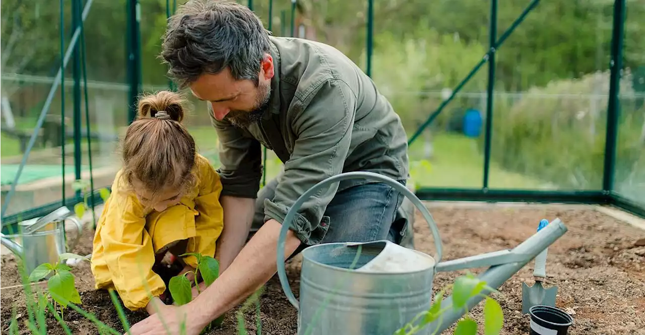 Garten: Wie man dem Wetter ein Schnippchen schlägt