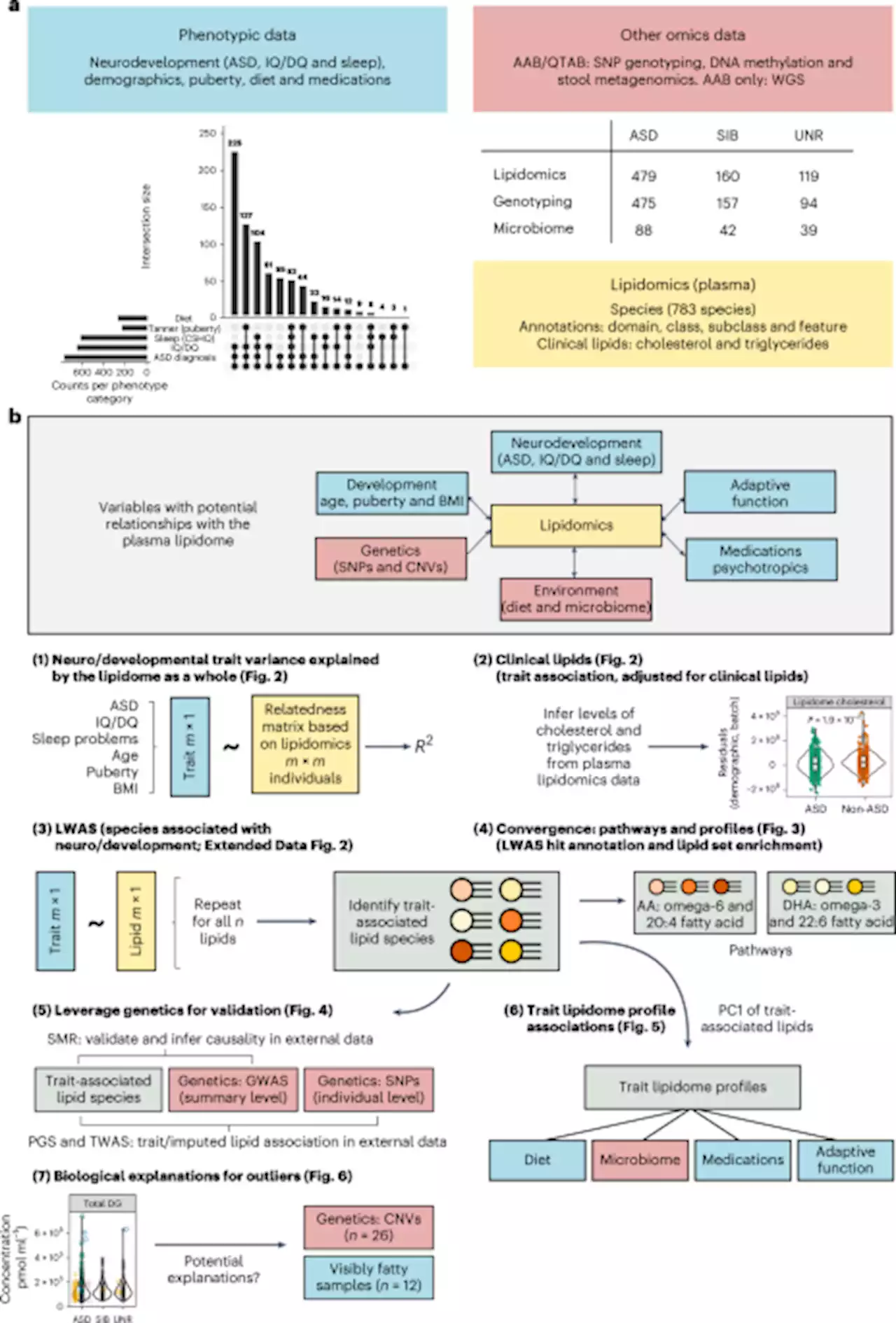 Interactions between the lipidome and genetic and environmental factors in autism - Nature Medicine