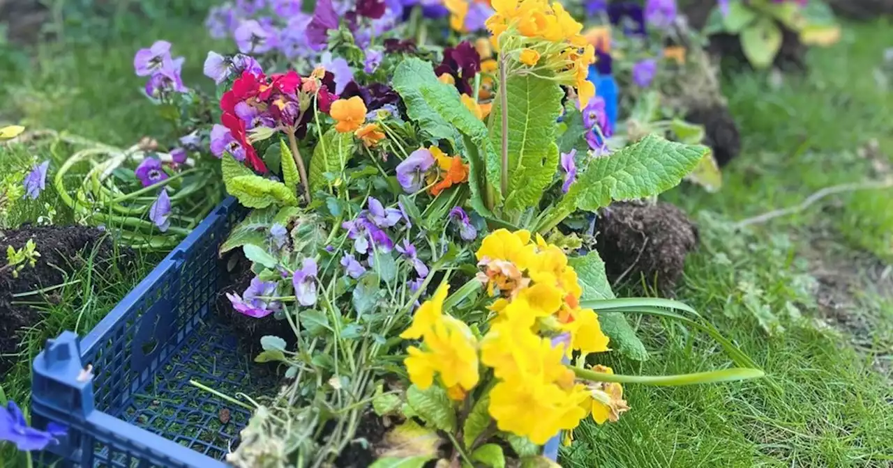 Former landlady admits taking flowers from pub