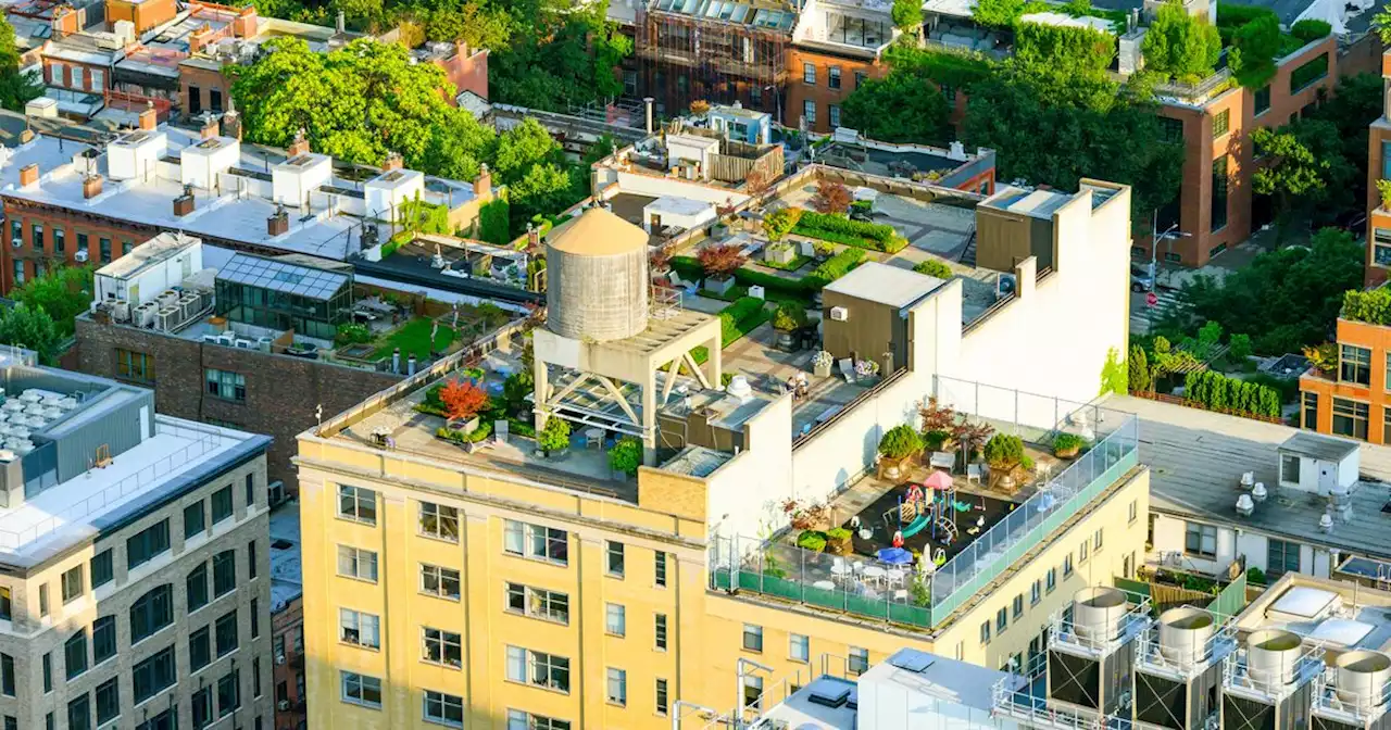 The Rent-Stabilization Board Is Proposing What Exactly?