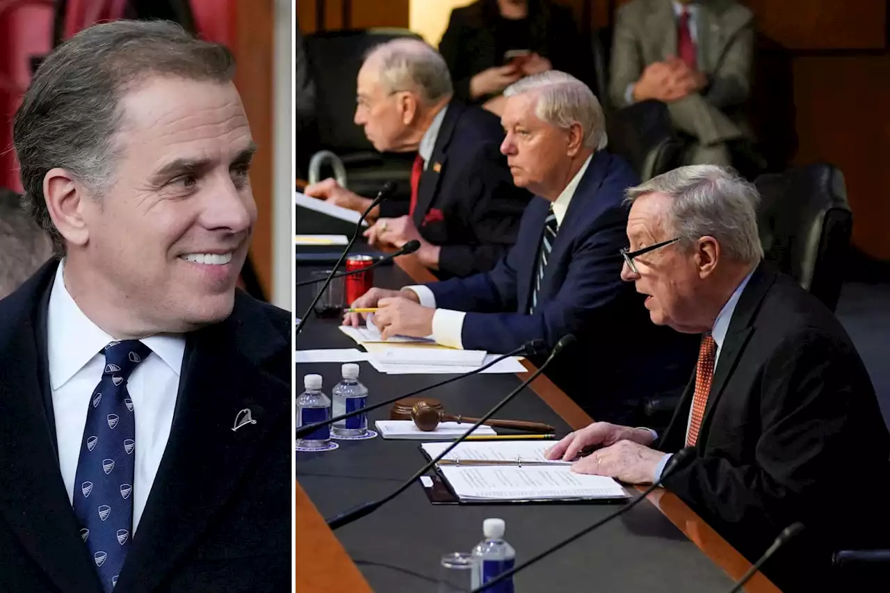 Democrat Sen. Dick Durbin promises Hunter Biden ‘cover-up’ claim will be taken ‘seriously’