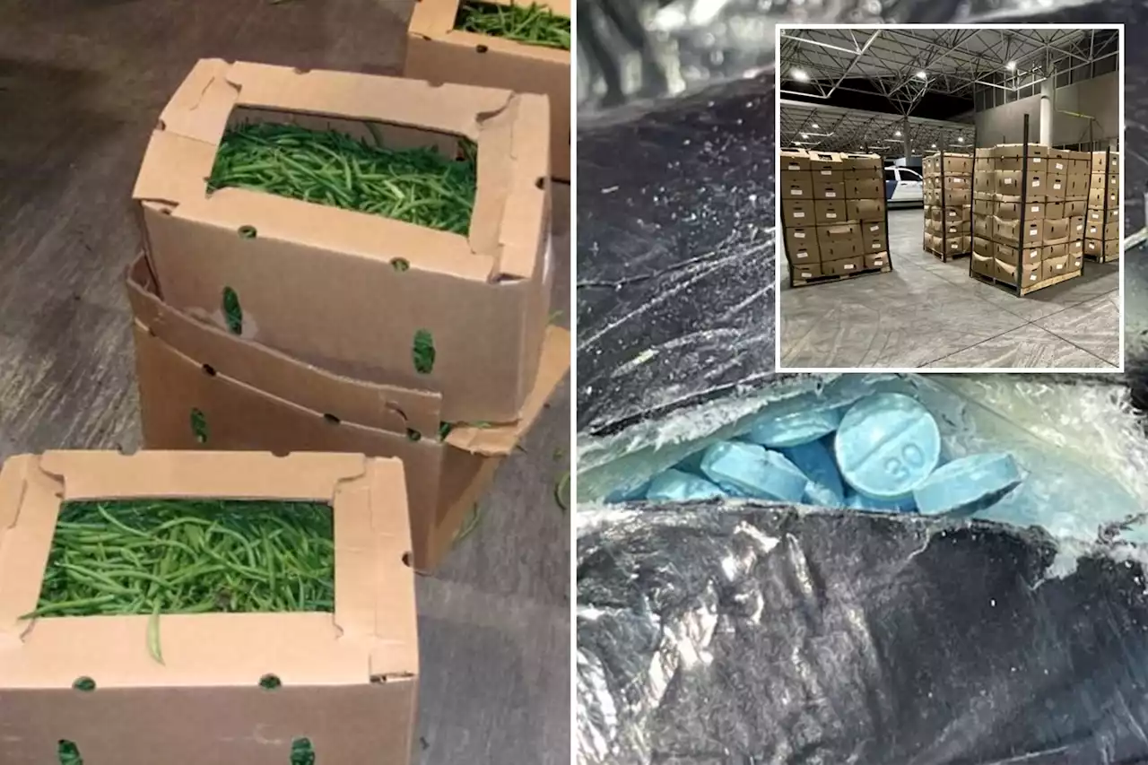 Nearly 800 pounds of fentanyl found in shipment of green beans at San Diego port