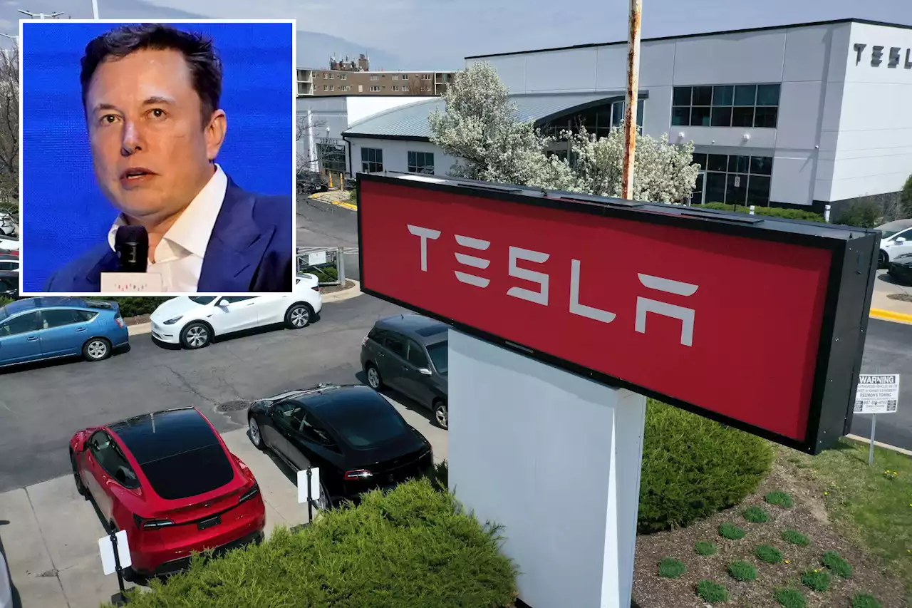 Tesla loses $50 billion in value as stock tumbles 8% due to Elon Musk price cuts