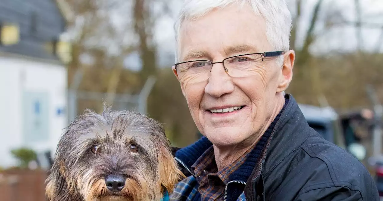 Battersea dogs will form guard of honour at Paul O’Grady’s funeral today