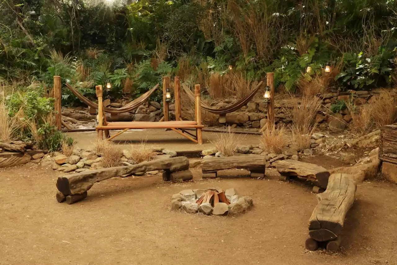 First look inside the I'm A Celeb camp including rock hard beds and first task