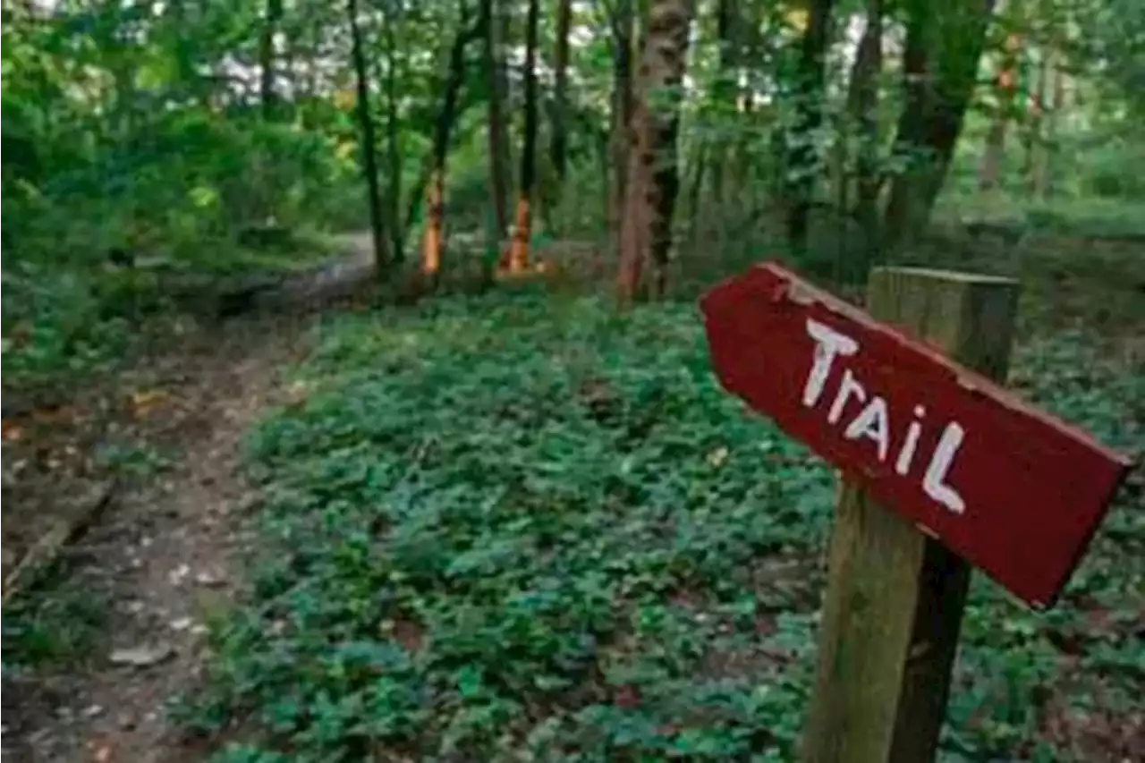 100-mile ultra run through the Pine Barrens could be devil of a race